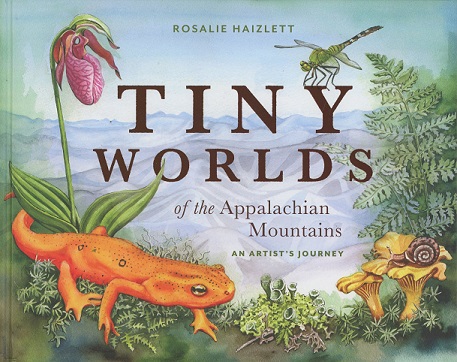 Tiny Worlds of the Appalachian Mountains: An Artist's Journey